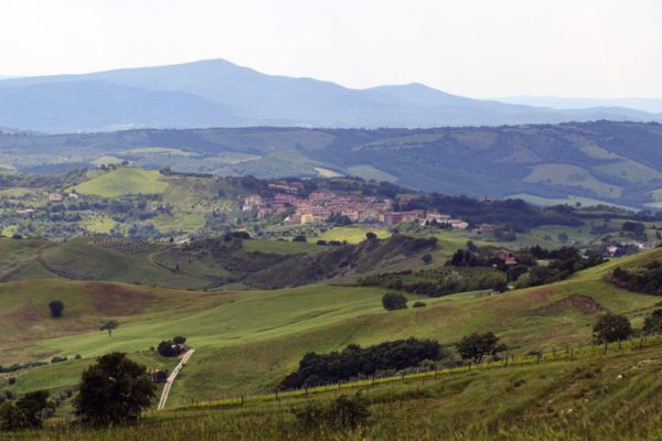 Cinigiano paesaggio