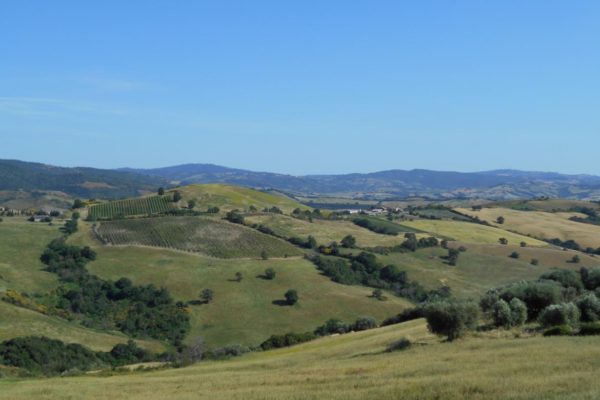 Cinigiano colline